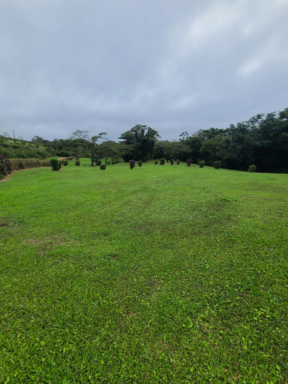 Charming Home 2Bedroom 2Bathroom in Bella Vista Gated Community photo 16