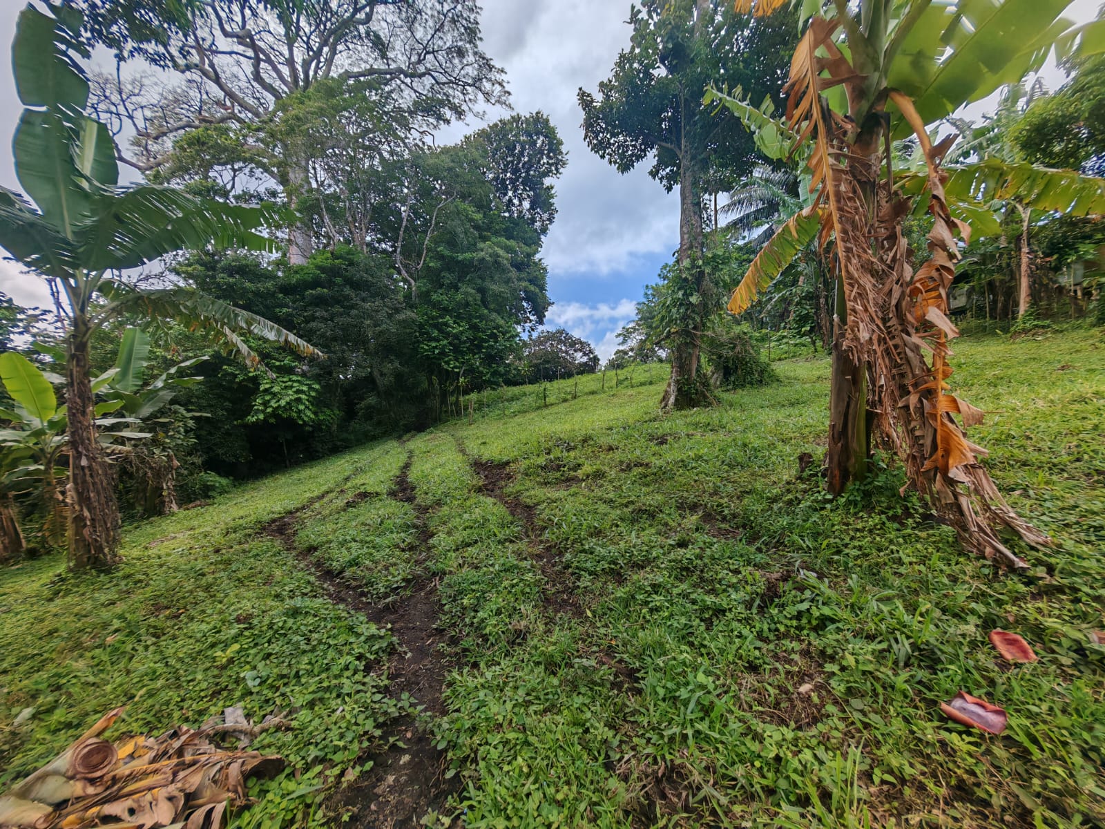 15,750 m² Lakefront Lot with Volcano Views, Fruit Trees & Direct Lake Access  photo 10