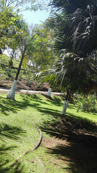 Beautiful 5 Bedroom 3 Bathroom Home Estate on 66 acres In Guatuso photo 23