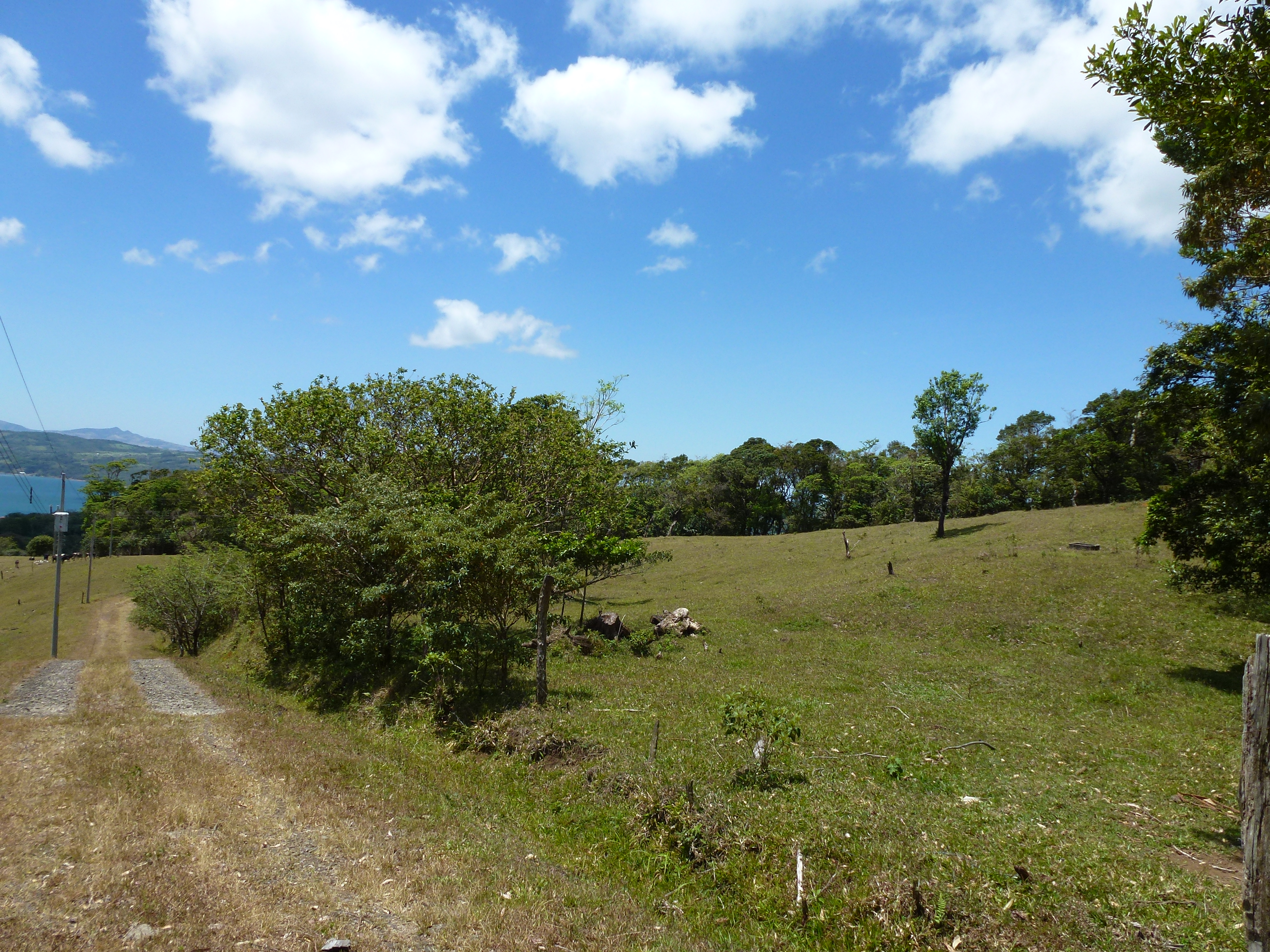 2.26 Acre Lot with Stunning Views Of Lake Arenal and Volcano in Nuevo Arenal  photo 15