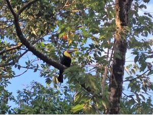 168 acres (68 hectares) of natural peace and tranquility with four cabins photo 30