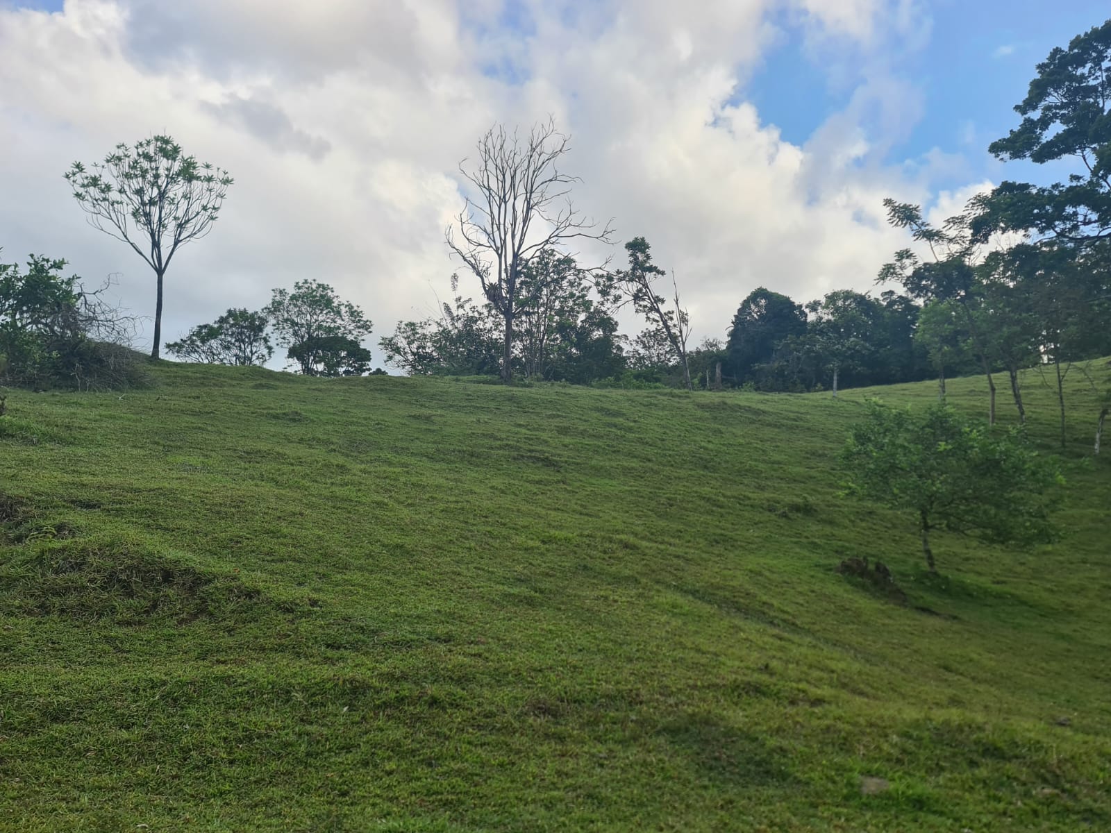 Gorgeous 50,372 m2 (12,4 acre) Farm In Cabanga, Guatuso photo 6