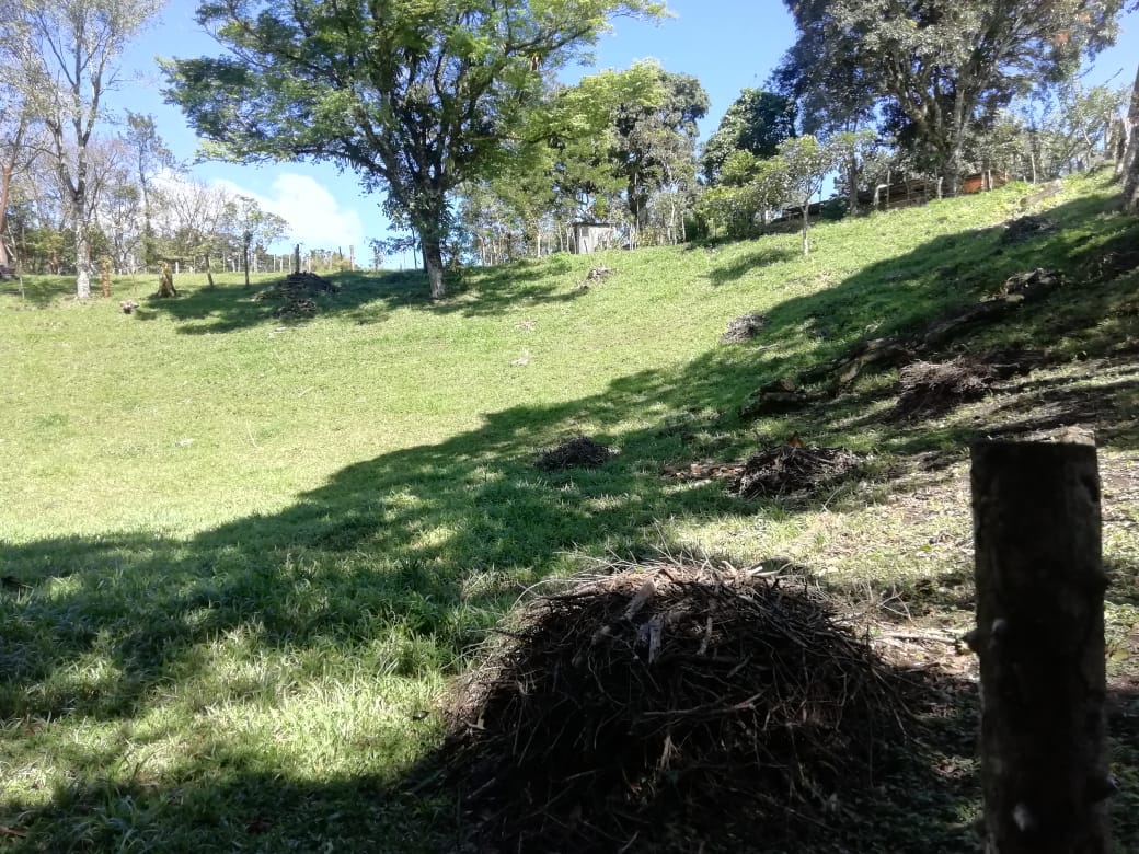 Expansive 30,229 m² (7.46 Acre) Lot w/ House & Scenic Views in Tierras Morenas photo 14