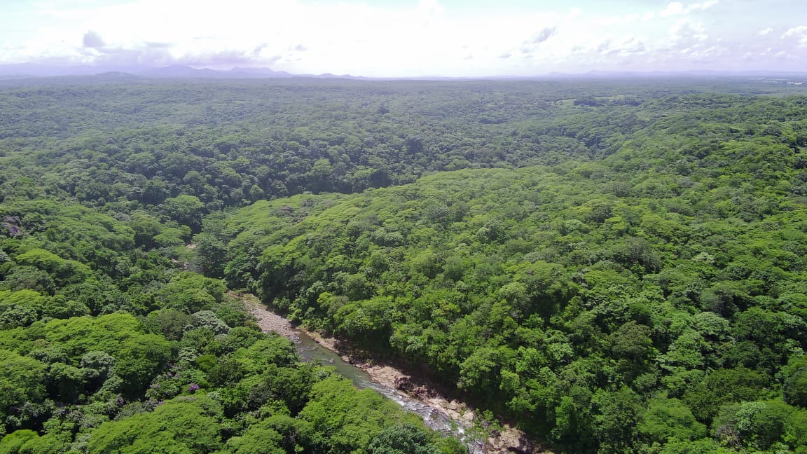450-Hectare Estate w/ Nature Reserve, Three Homes & Rivers in Guanacaste photo 71