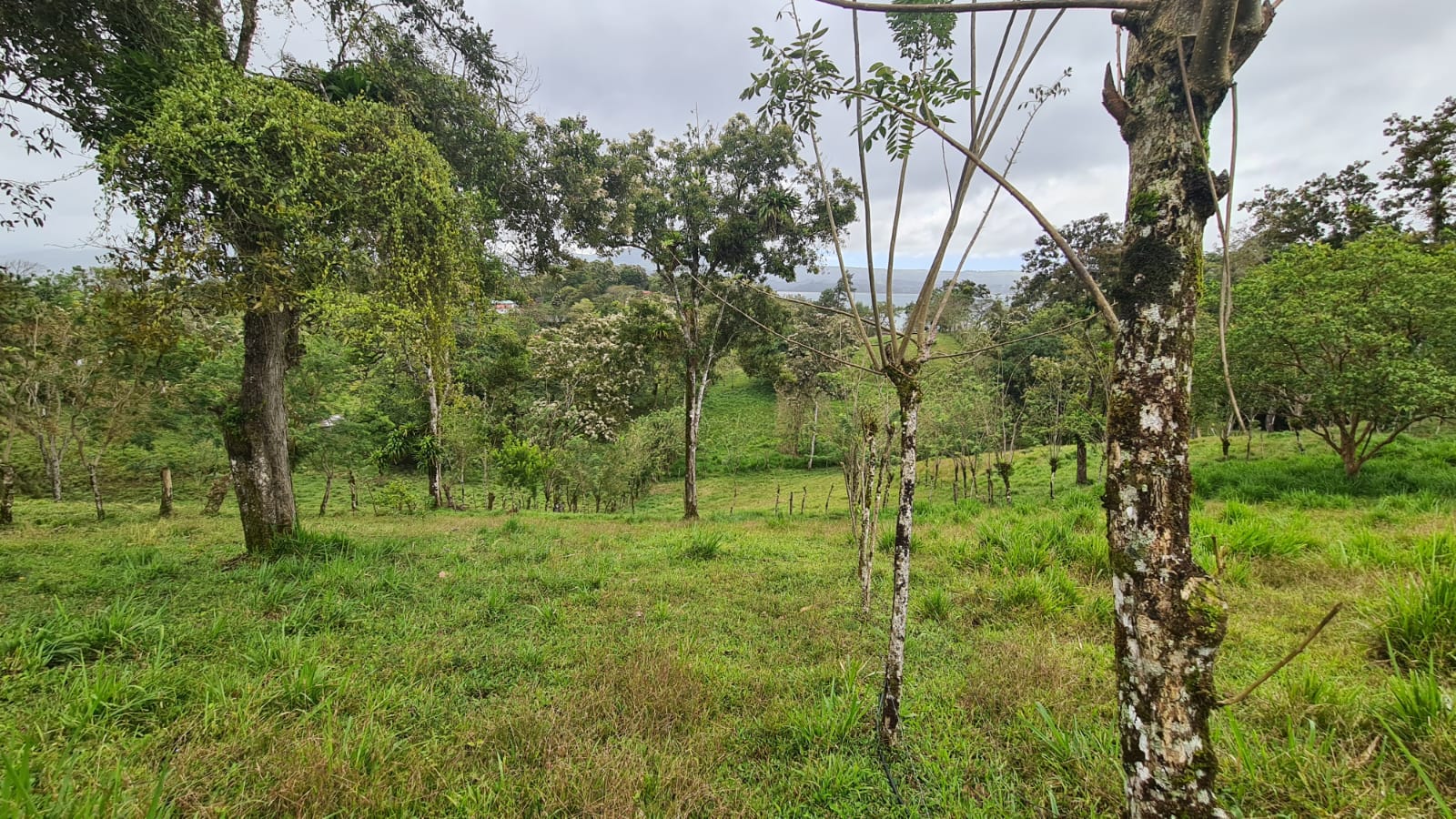 Beautiful, LAKE ACCESS property in Parcelas Santa Maria, Nuevo Arenal  photo 34