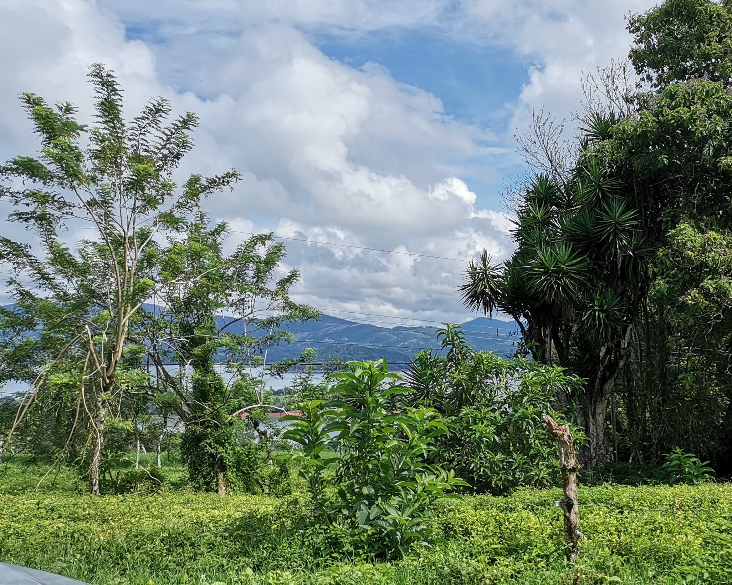 Magnificent 24,811m2 Lake and Volcano View Parcel with Huge Views in Tronadora photo 34