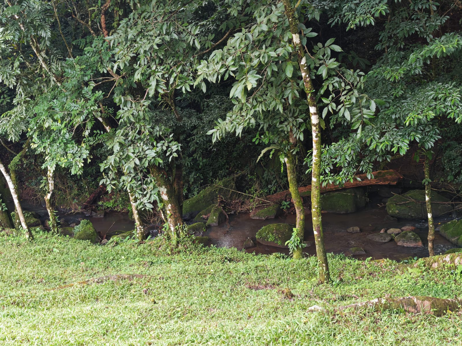 Expansive 30,229 m² (7.46 Acre) Lot w/ House & Scenic Views in Tierras Morenas photo 18