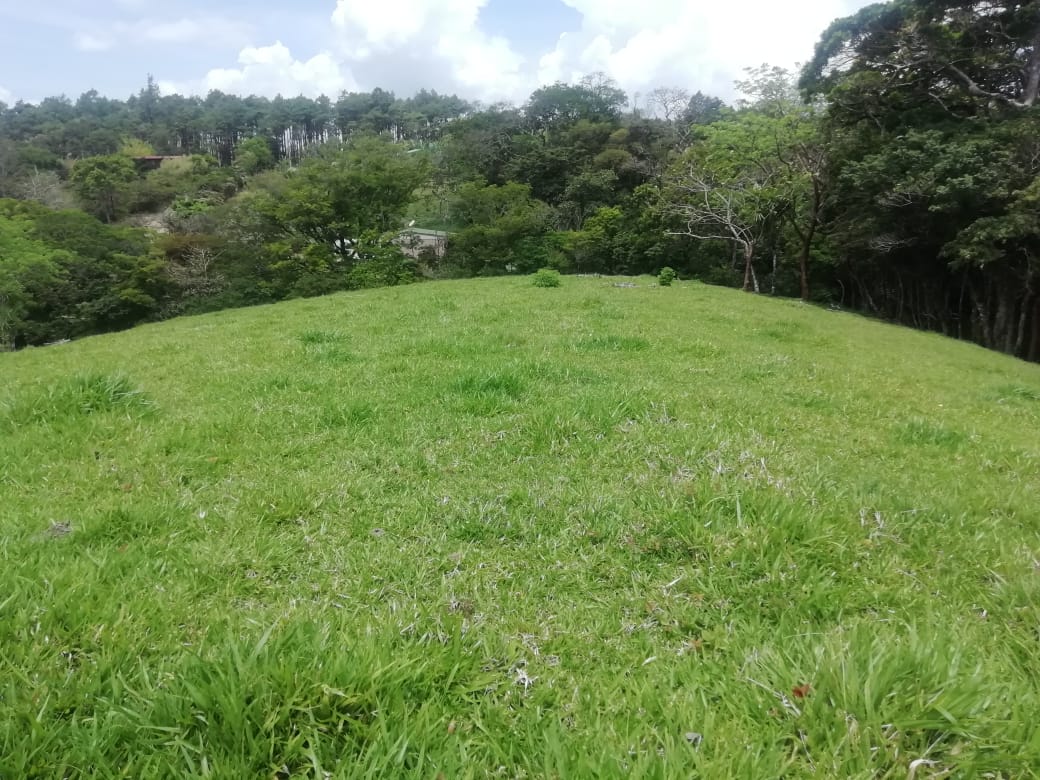 Expansive 30,229 m² (7.46 Acre) Lot w/ House & Scenic Views in Tierras Morenas photo 6