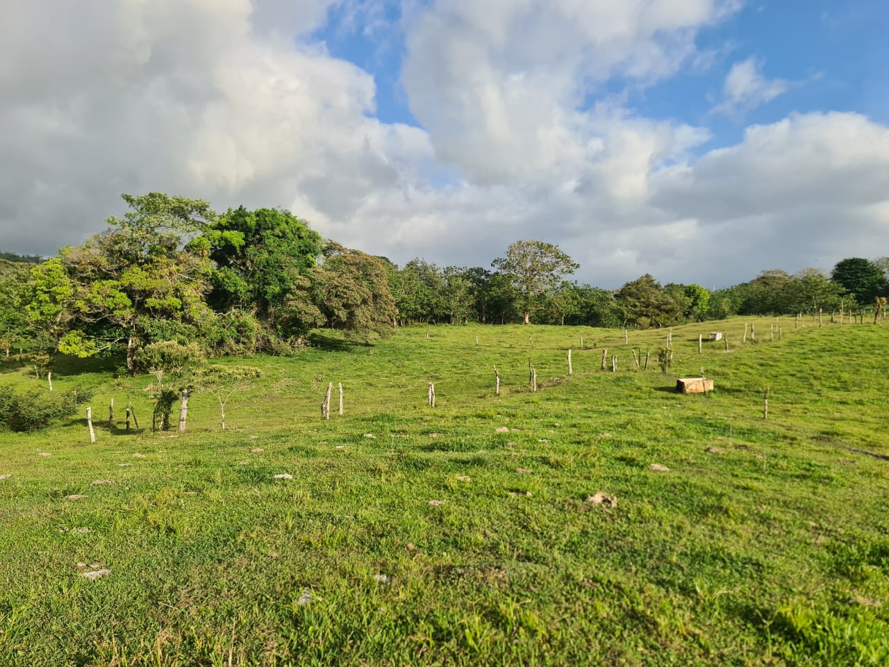 16-Hectare Farm with a Private Well and Views of Lake Arenal in Nuevo Arenal photo 14