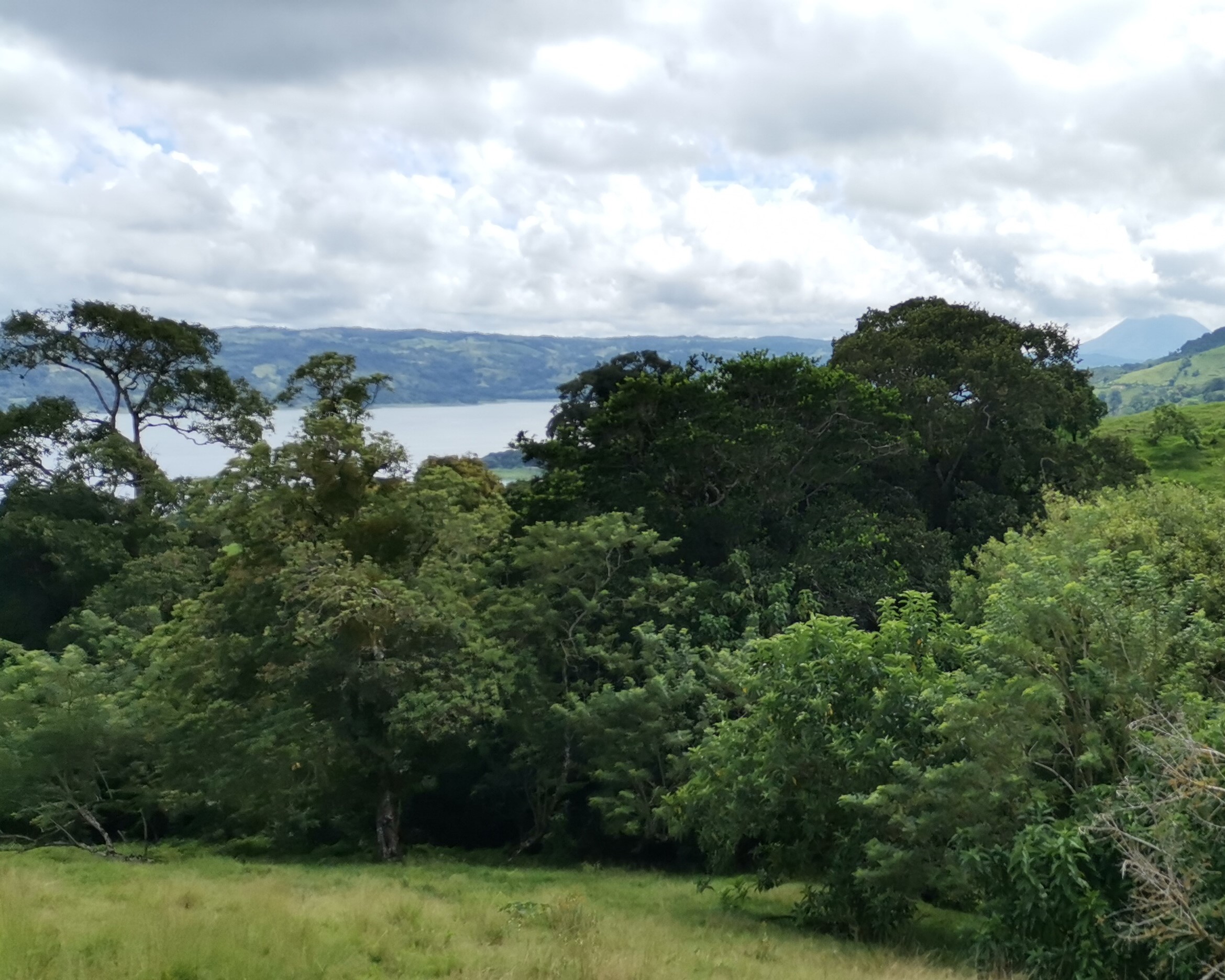 Magnificent 24,811m2 Lake and Volcano View Parcel with Huge Views in Tronadora photo 29
