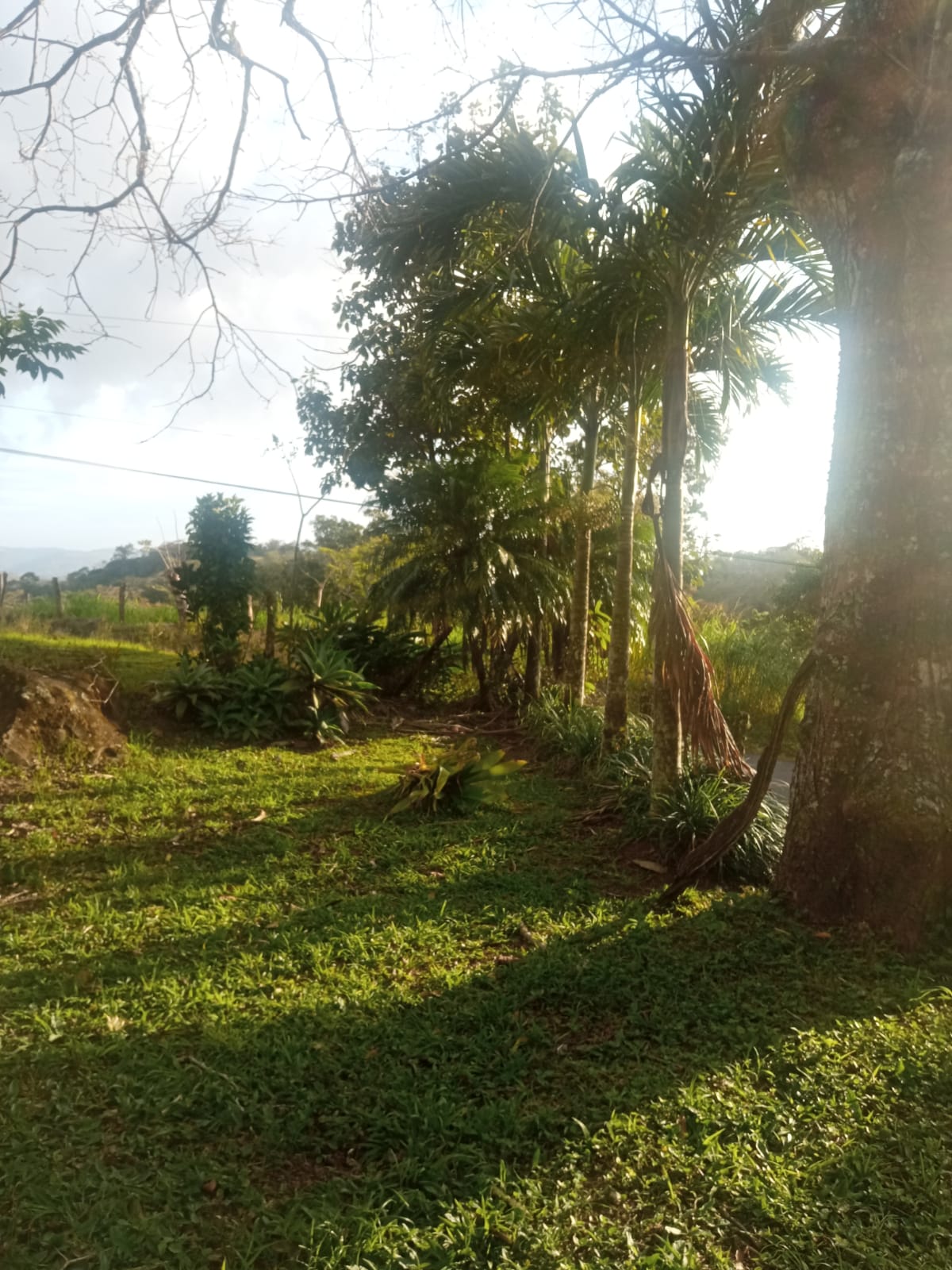 Beautiful, 1407 m2 (0,34 acres) Lot in Parcelas de Quebrada Azul, Tilarán photo 11