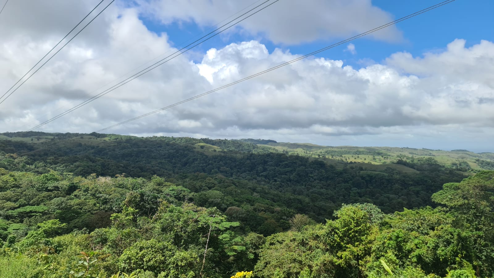33 Hectare (81.5 acre) Property with Volcano Views in San Carlos, Alajuela photo 21