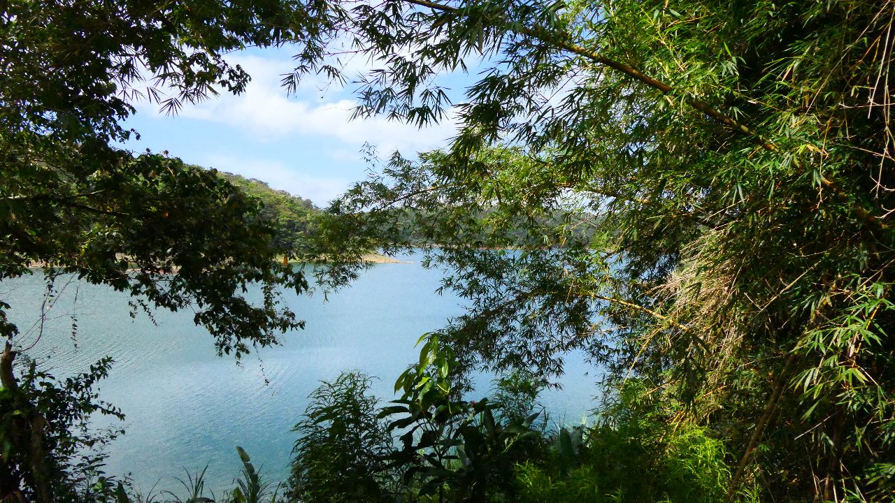 A very unique 1 Bedroom/1 Bathroom Boat House with lake access photo 25