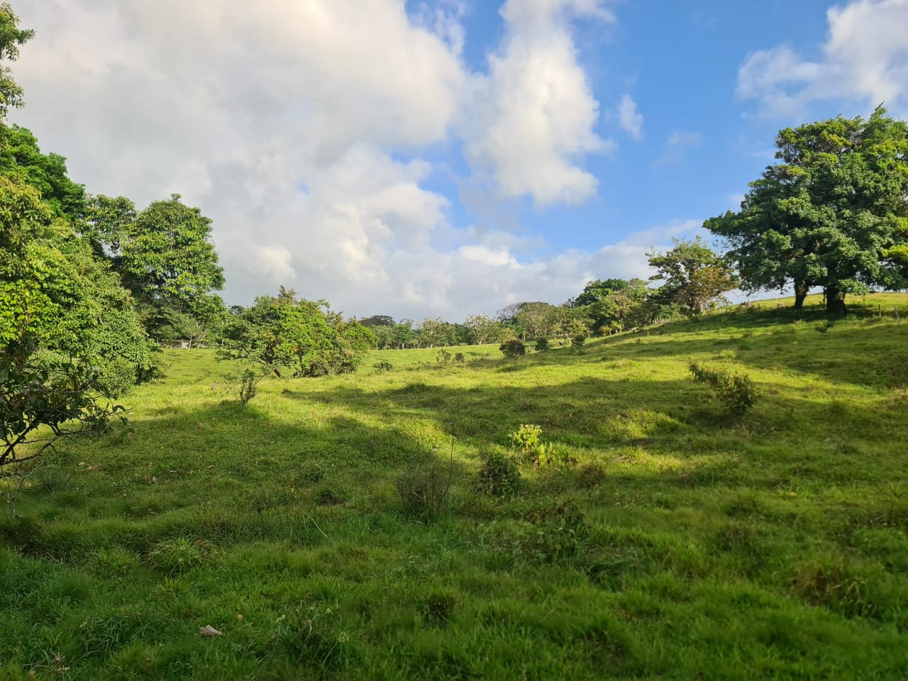 16-Hectare Farm with a Private Well and Views of Lake Arenal in Nuevo Arenal photo 21