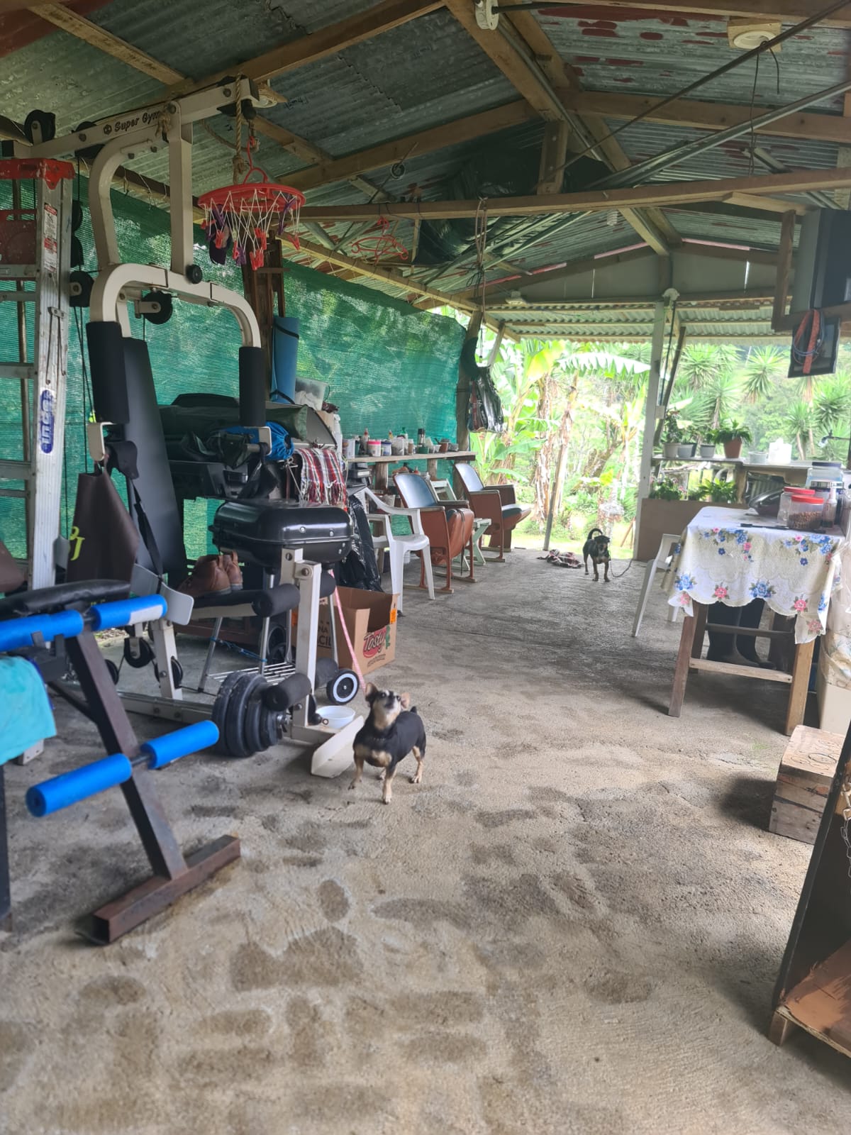 Charming, 3 BD, 1 BA, Tico Home with Tons of Potential in Nuevo Arenal  photo 14