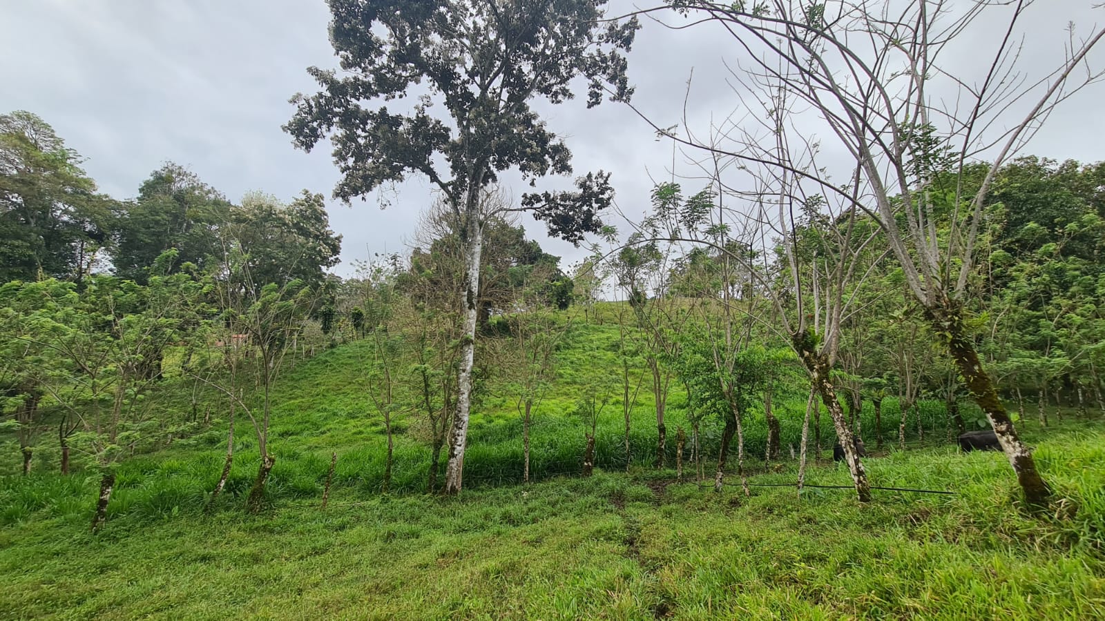 Beautiful, LAKE ACCESS property in Parcelas Santa Maria, Nuevo Arenal  photo 31