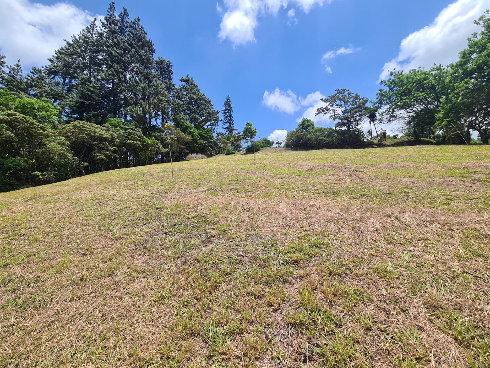 2236 M2 (0,55 acres) Lot with Huge Volcano Views in El Aguacate photo 8