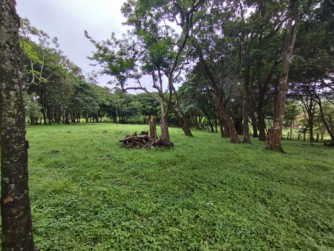 Expansive 30,229 m² (7.46 Acre) Lot w/ House & Scenic Views in Tierras Morenas photo 12