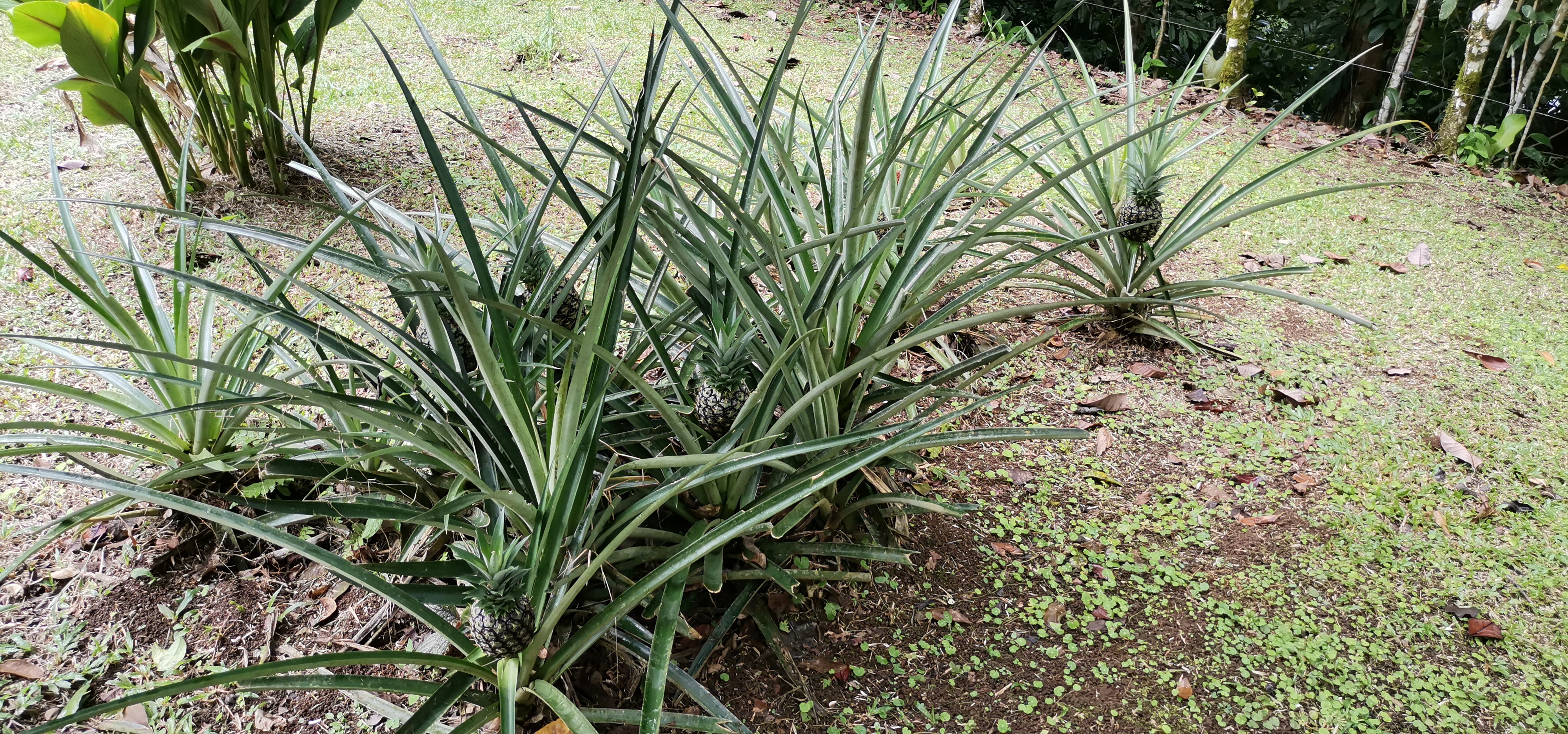 Fully Furnished 2 Bedroom 2 Bathroom Home On Cote River  photo 34