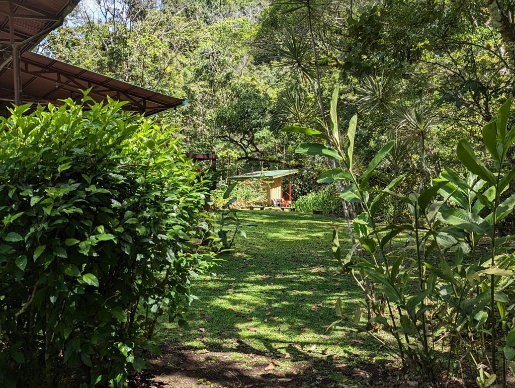 Commercial Space, Cabins, & Retreats: A Nature Haven w/ Riverfront Serenity photo 27