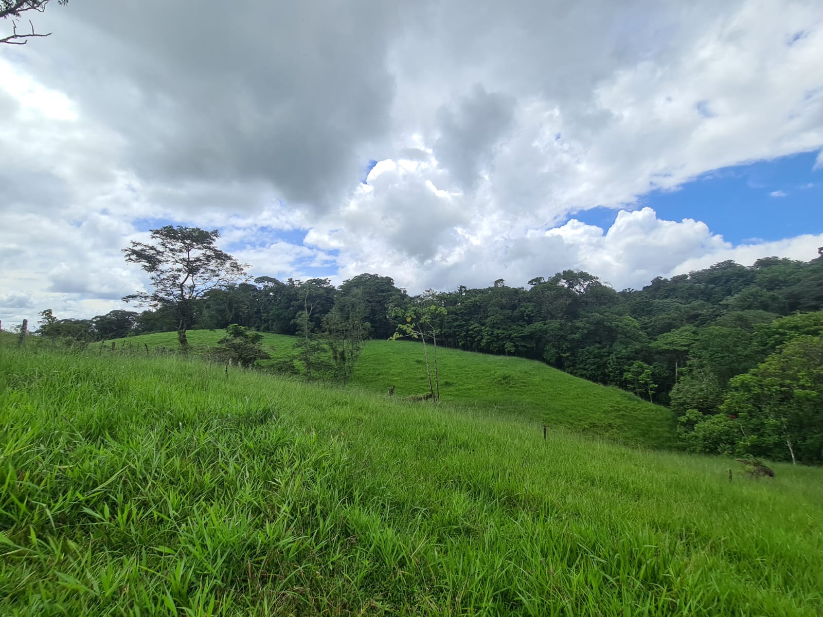 81,500 m2 (20.13 Acre) Lot with Lake and Volcano View in Nuevo Arenal photo 8
