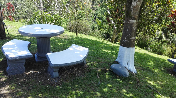 Beautiful 5 Bedroom 3 Bathroom Home Estate on 66 acres In Guatuso photo 15