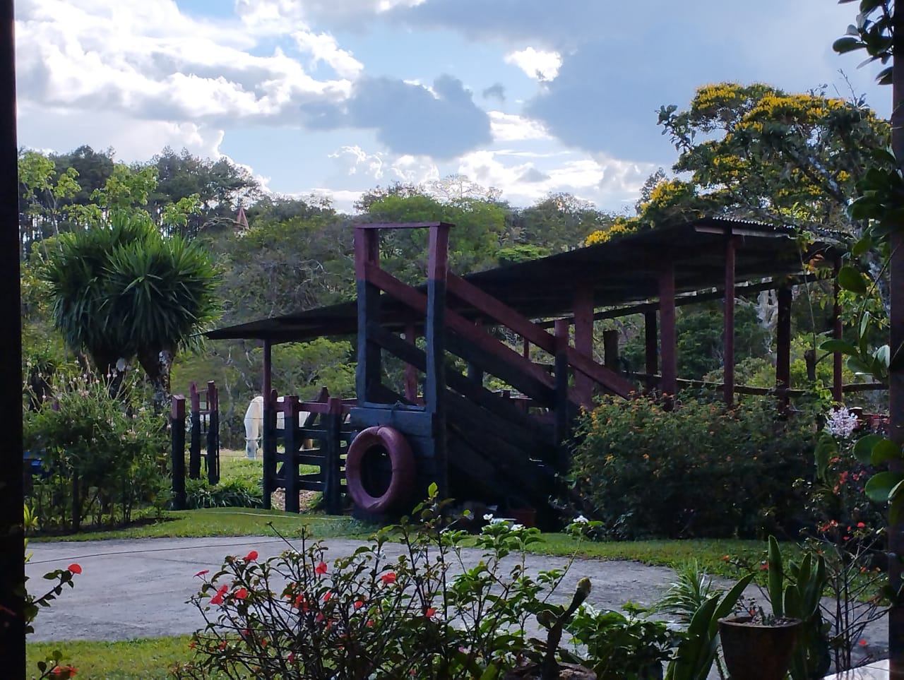 Expansive 30,229 m² (7.46 Acre) Lot w/ House & Scenic Views in Tierras Morenas photo 40