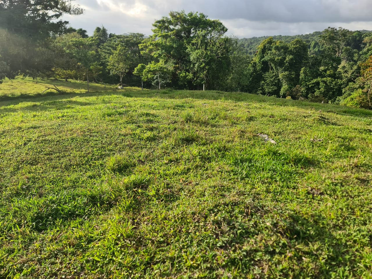 16-Hectare Farm with a Private Well and Views of Lake Arenal in Nuevo Arenal photo 16