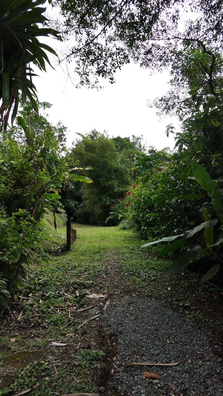 A very unique 1 Bedroom/1 Bathroom Boat House with lake access photo 17