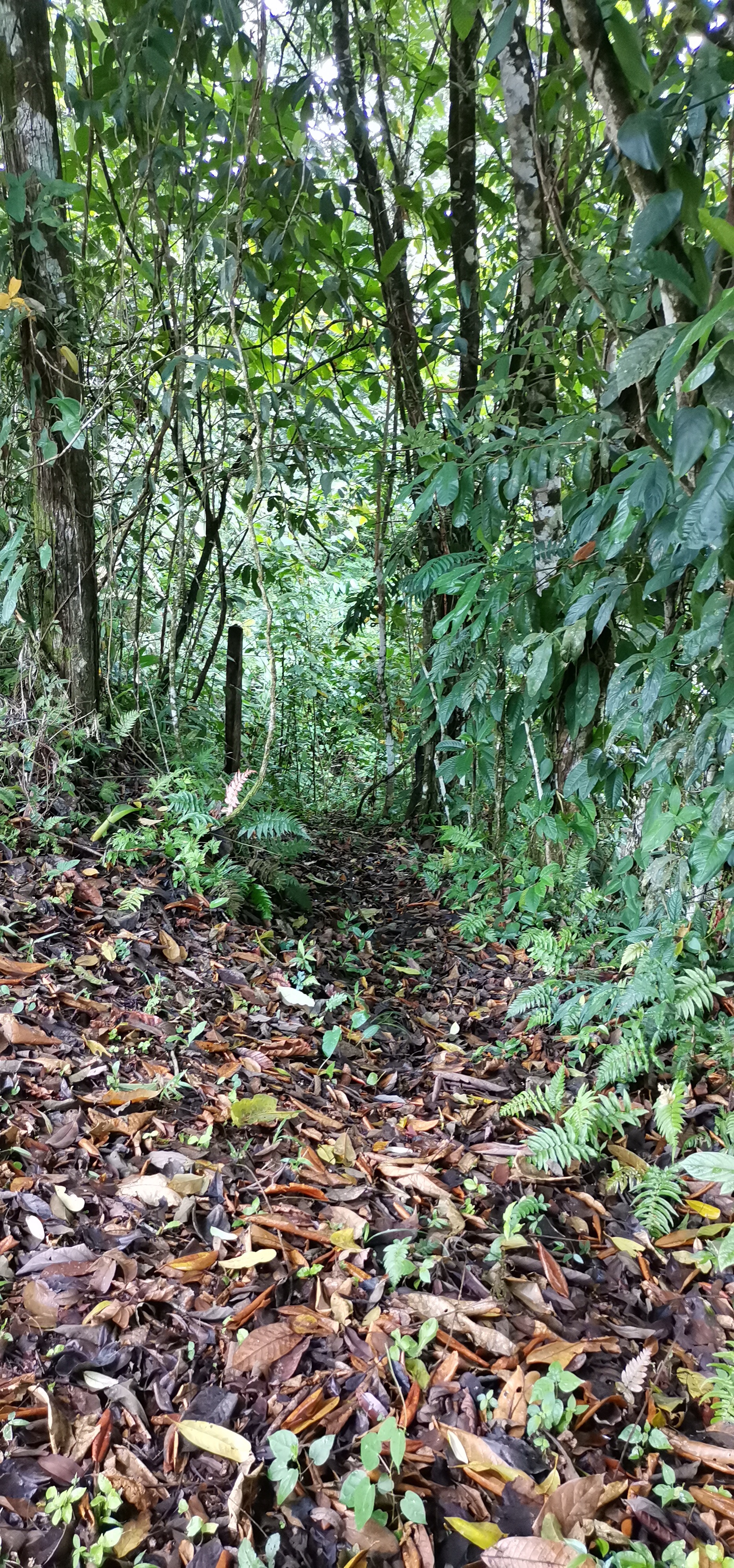 Fully Furnished 2 Bedroom 2 Bathroom Home On Cote River  photo 29