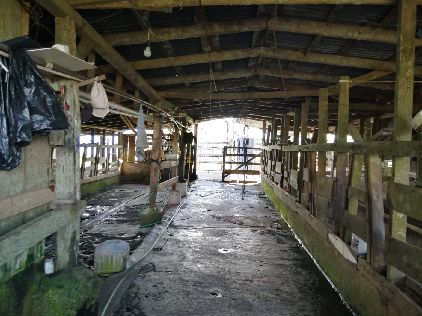 16-Hectare Farm with a Private Well and Views of Lake Arenal in Nuevo Arenal photo 40