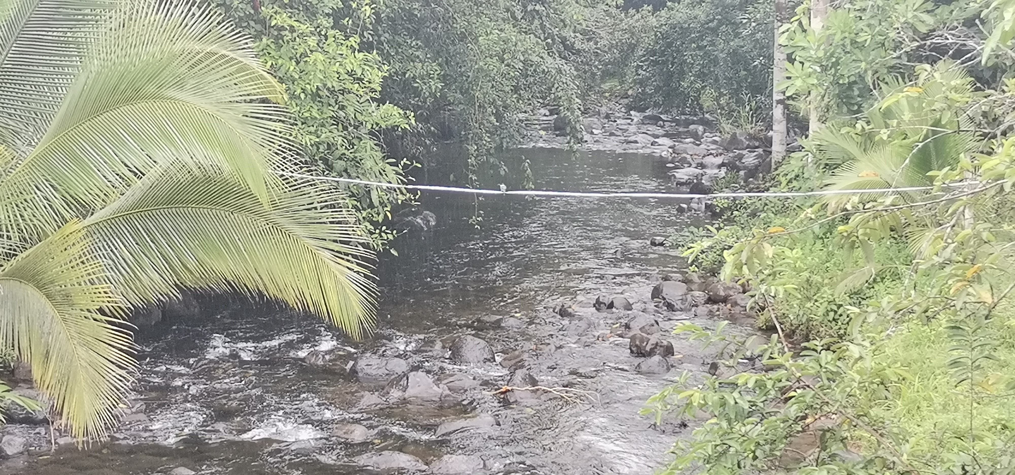 Fully Furnished 2 Bedroom 2 Bathroom Home On Cote River  photo 43