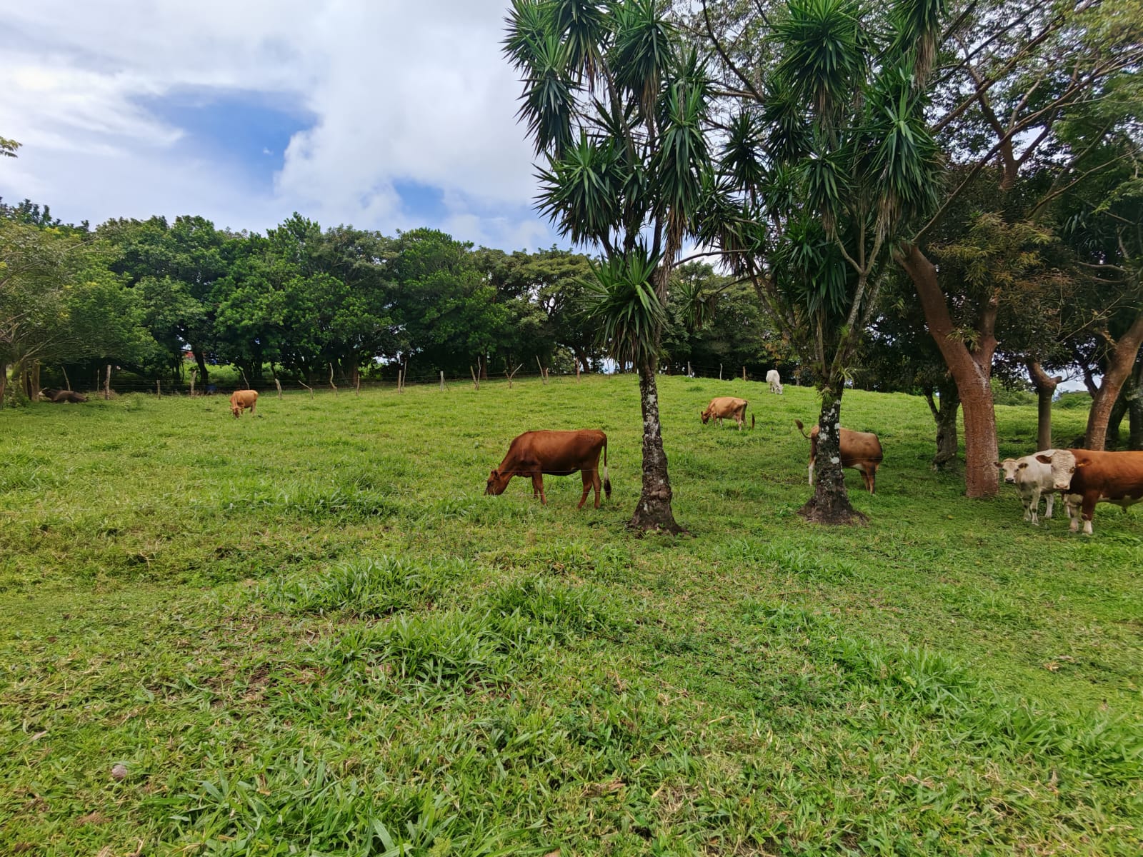 Beautiful 3-bedroom, 2-bathroom Home on a Sprawling 26,313 m² (6.5 Acres) lot  photo 27