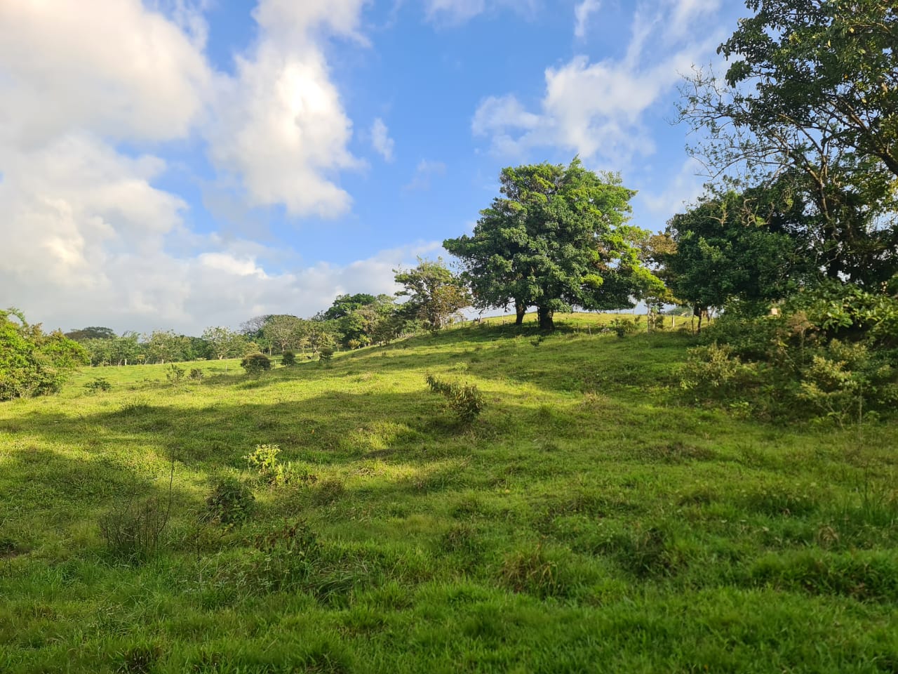 16-Hectare Farm with a Private Well and Views of Lake Arenal in Nuevo Arenal photo 25