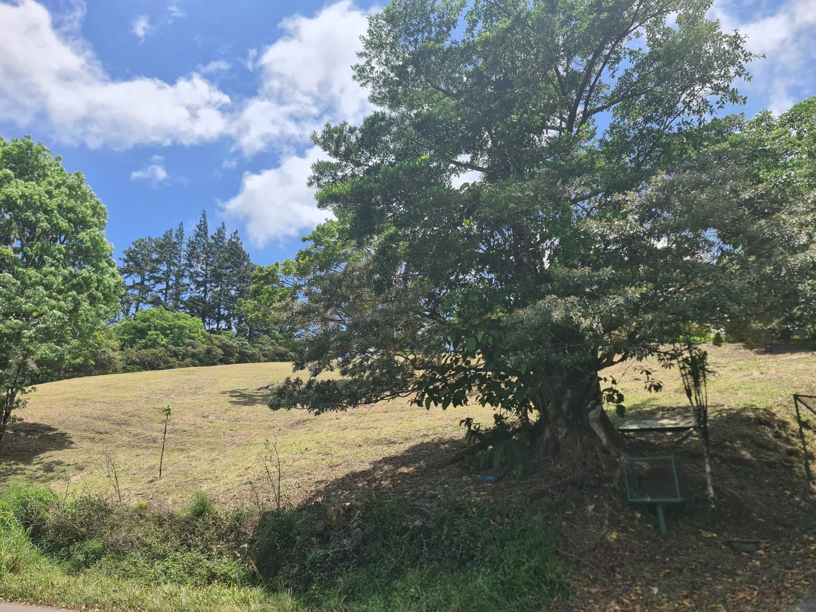 2236 M2 (0,55 acres) Lot with Huge Volcano Views in El Aguacate photo 12