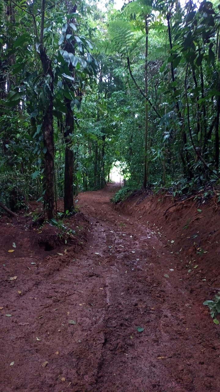 Gorgeous 50,372 m2 (12,4 acre) Farm In Cabanga, Guatuso photo 26