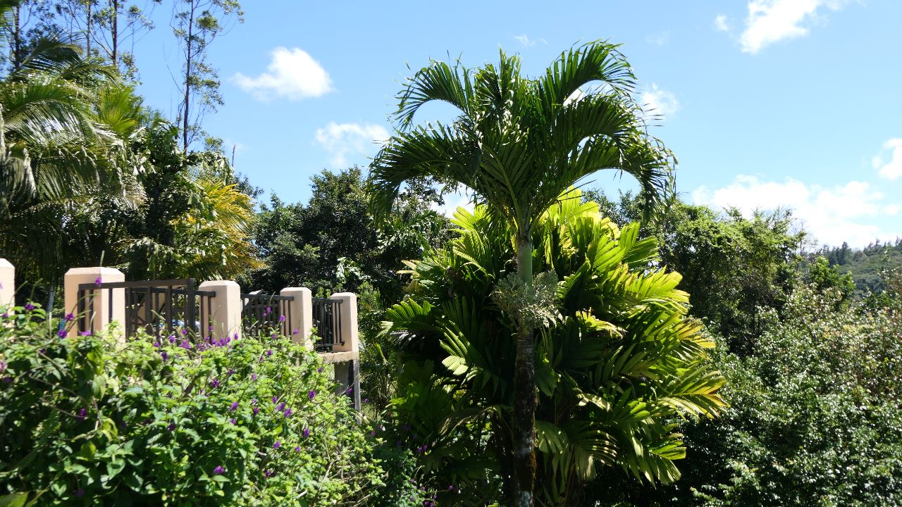 A new beautiful 2 BD/2 BA lake, volcano & rain forest view Casita  photo 38