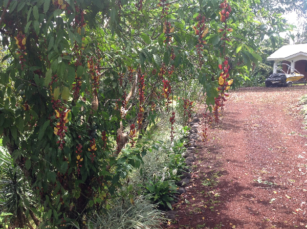 Beautiful 2BD, 2.5 BA Home in Gated Community with Lake and Volcano View  photo 22