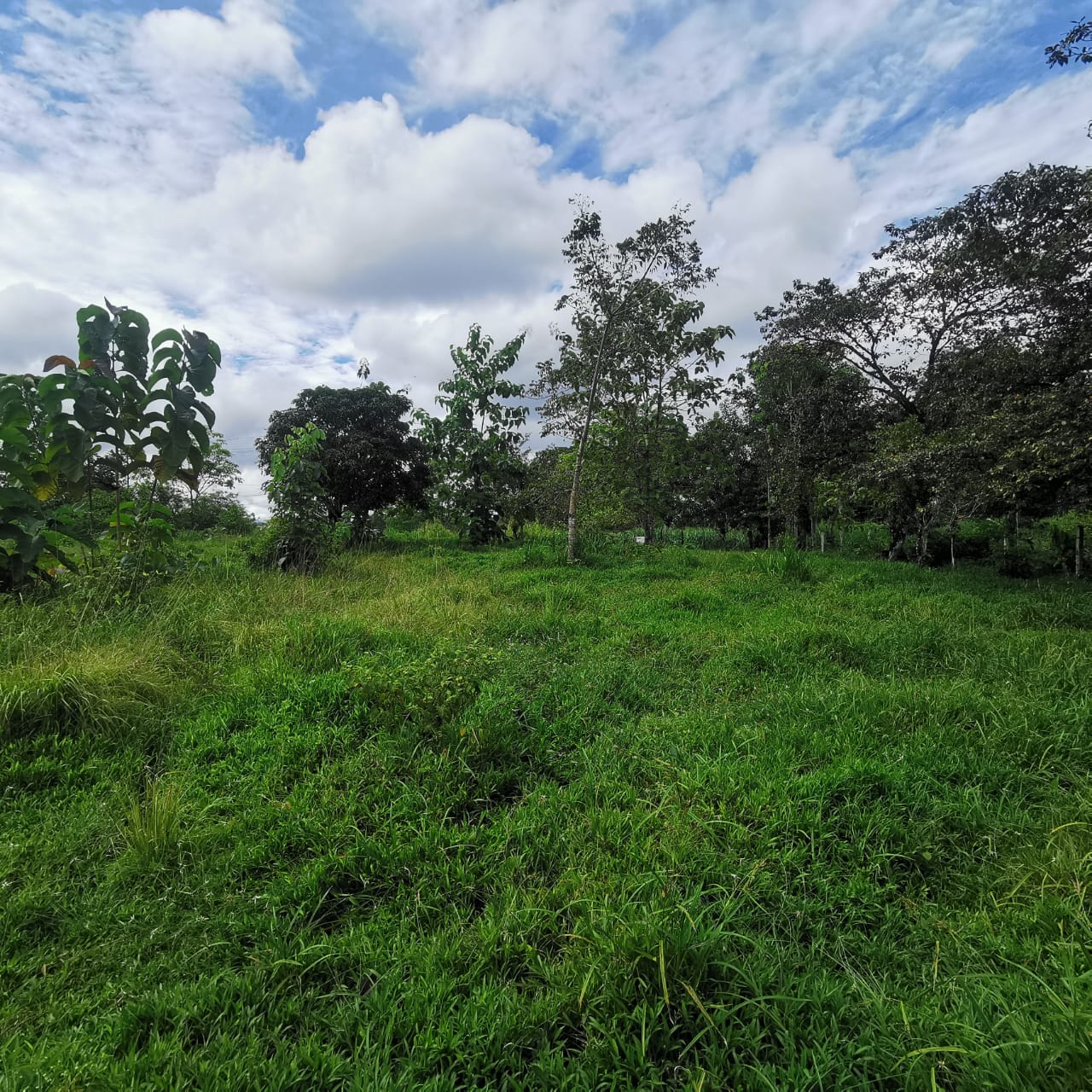 7.1-Hectare Lot w/ Private Well & Development Potential in Upala photo 9