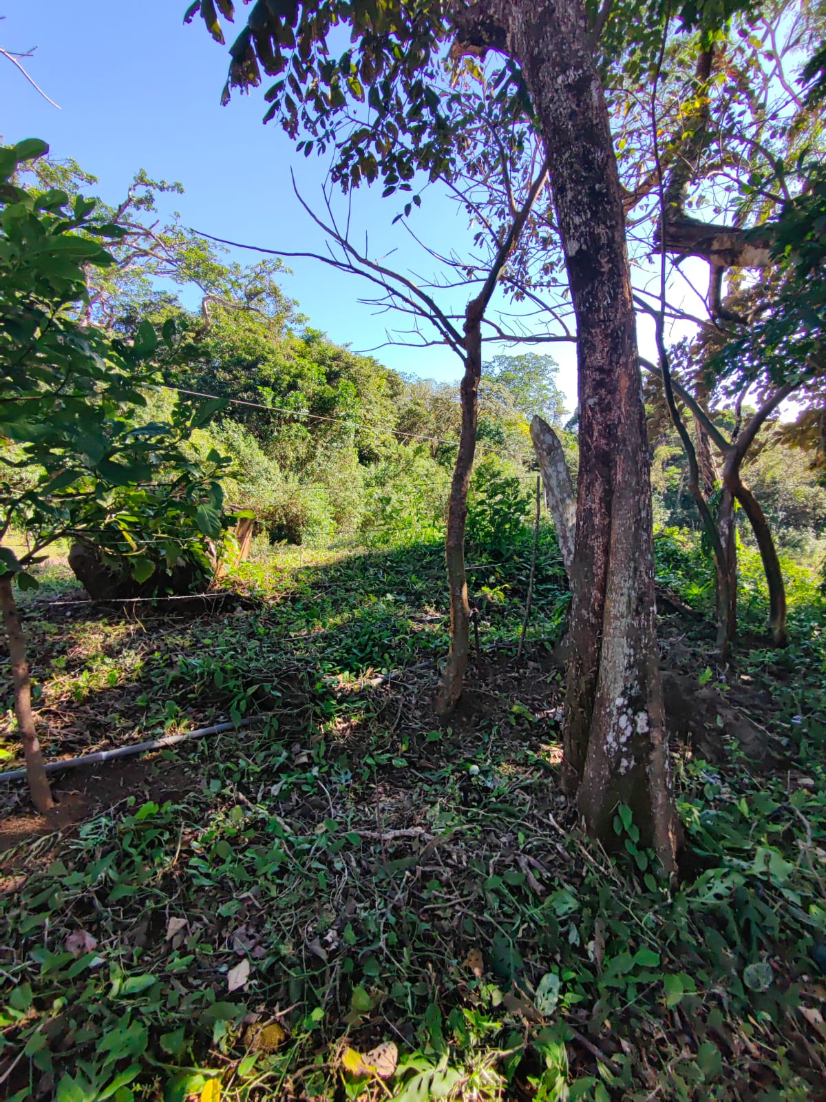 2500 m2 Ready to build / Beautiful Views & Commercial Potential-Nueva Guatemala photo 10