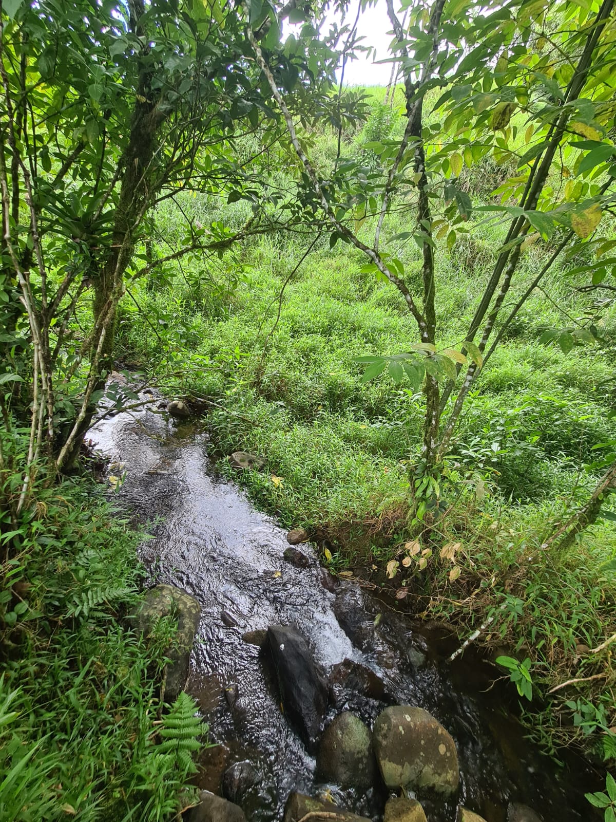 81,500 m2 (20.13 Acre) Lot with Lake and Volcano View in Nuevo Arenal photo 16