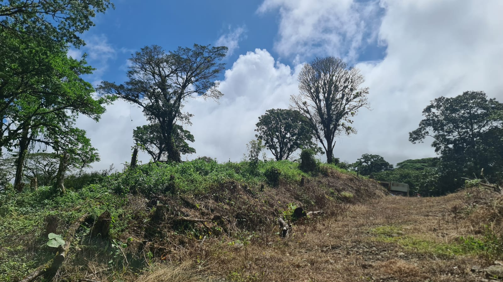 33 Hectare (81.5 acre) Property with Volcano Views in San Carlos, Alajuela photo 25