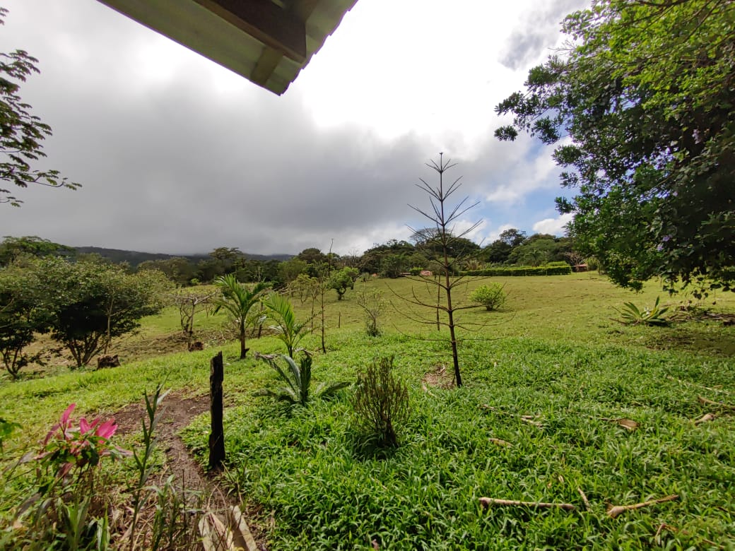 Lovely Studio Cabin on a 5,447 m2 Volcano View lot in Rio Naranjo photo 12