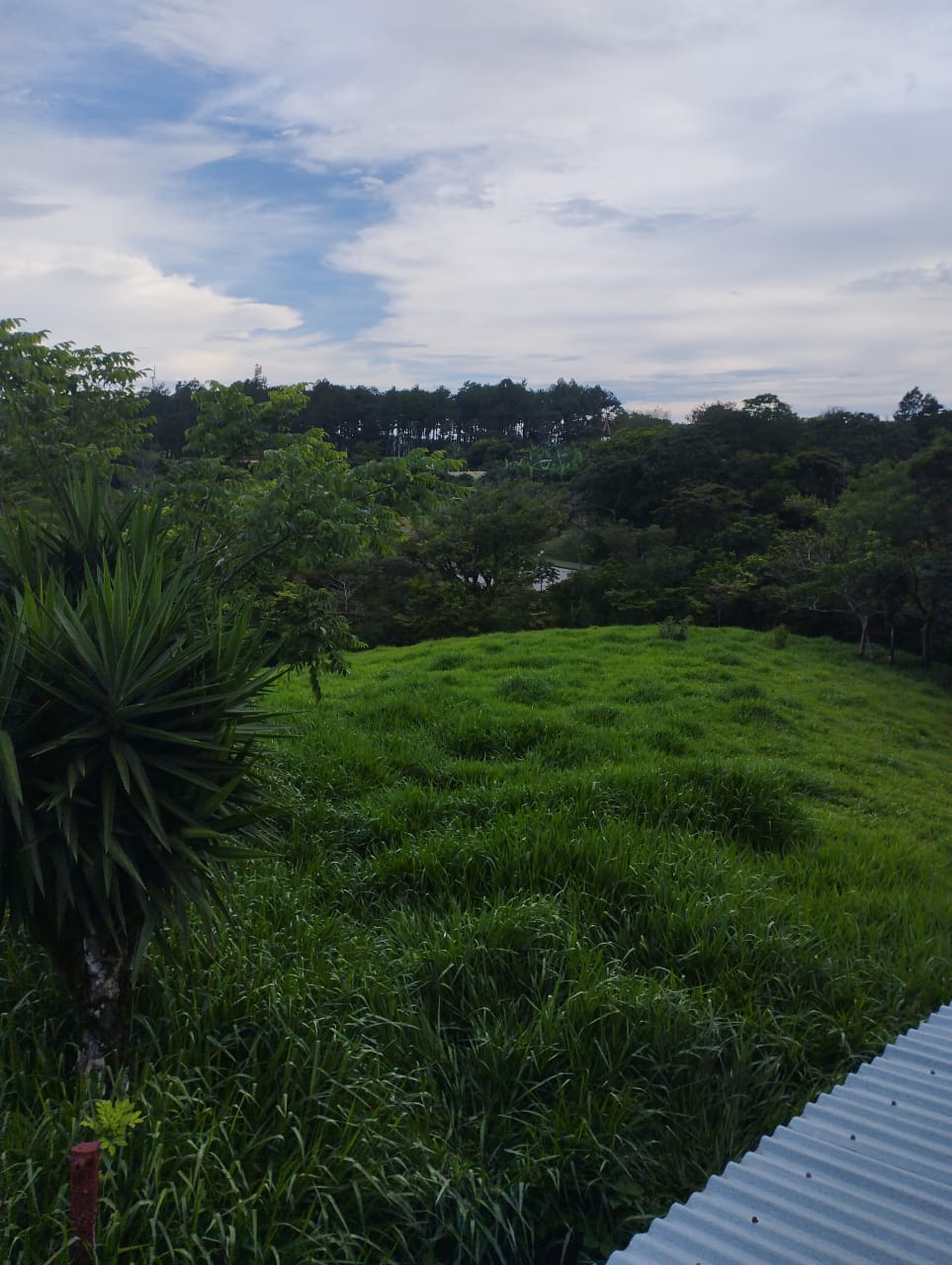 Expansive 30,229 m² (7.46 Acre) Lot w/ House & Scenic Views in Tierras Morenas photo 16