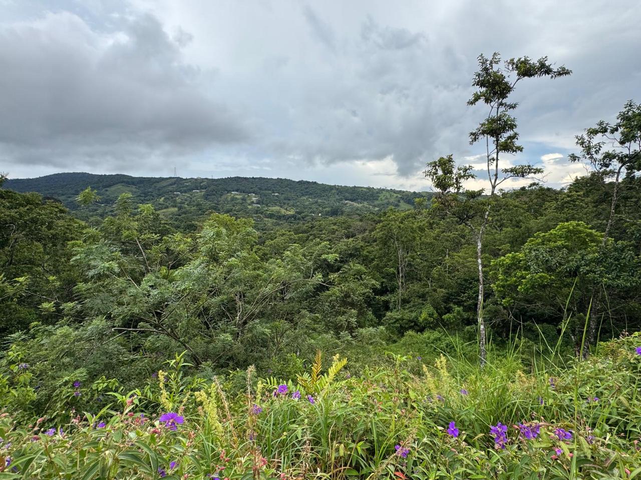 Expansive Lake-Access Property in Turtle Cove, El Aguacate photo 12