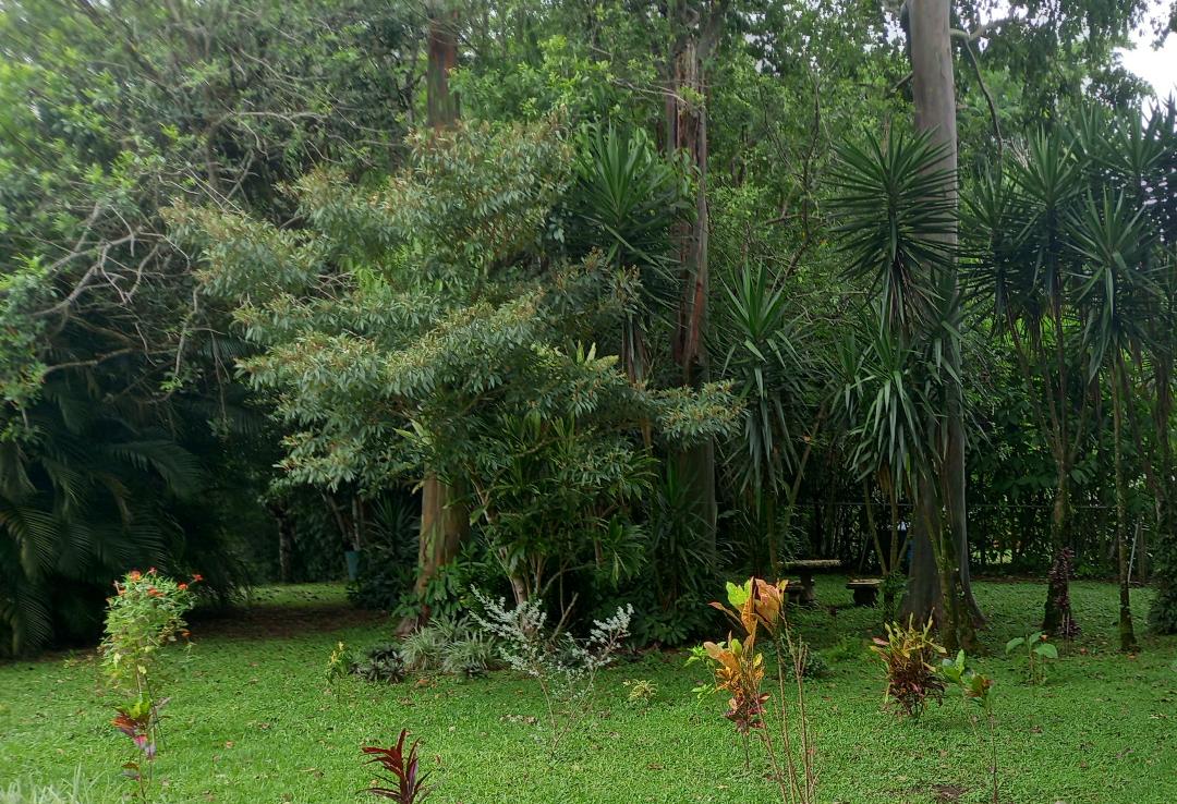 Tranquility Defined – Stunning Home with Lake & Volcano Views on 8.2 Acres photo 45