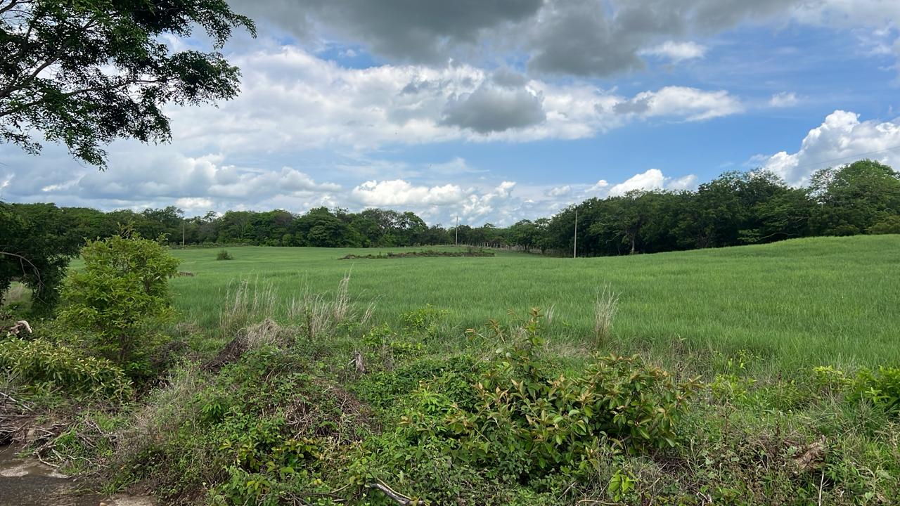 450-Hectare Estate w/ Nature Reserve, Three Homes & Rivers in Guanacaste photo 53