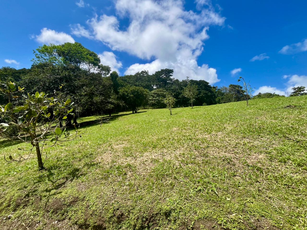 Commercial Property with Expansive Space and Breathtaking Mountain Views  photo 9