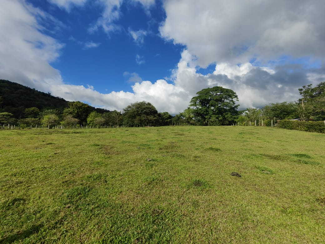 Beautiful Flat 5,624 m2 Lot With Views in Rio Naranjo, Guanacaste  photo 8