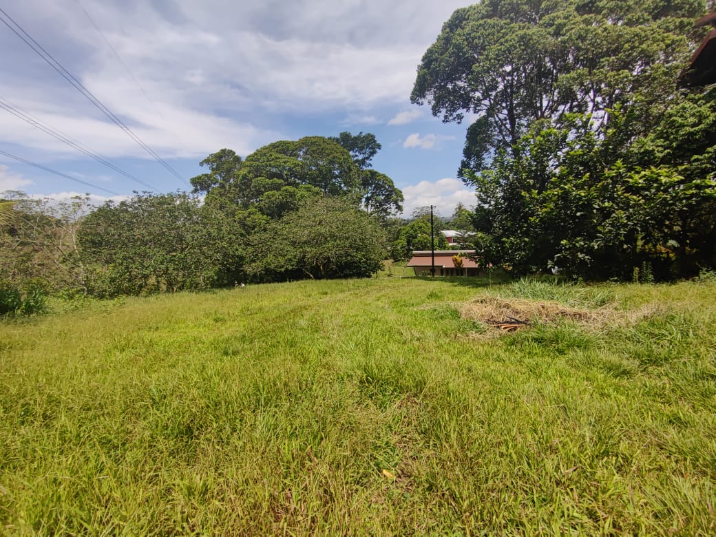 Lovely, 1322 m2 Lot (0,32 acre) in Cuidad Quesada, Alajuela photo 6